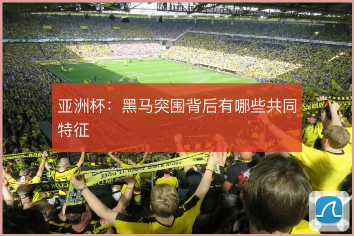 亚洲杯:黑马突围背后有哪些共同特征