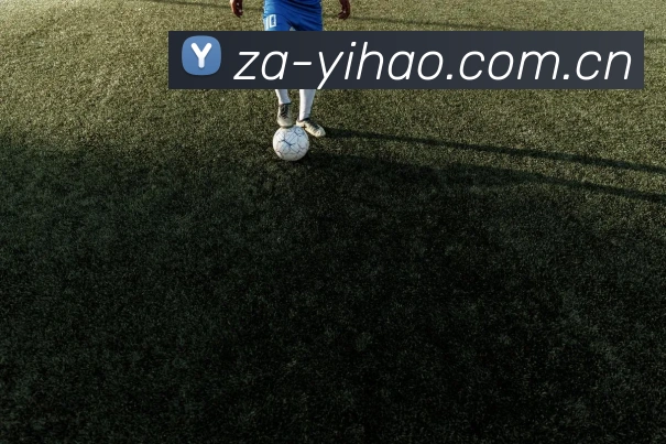 奖项2
